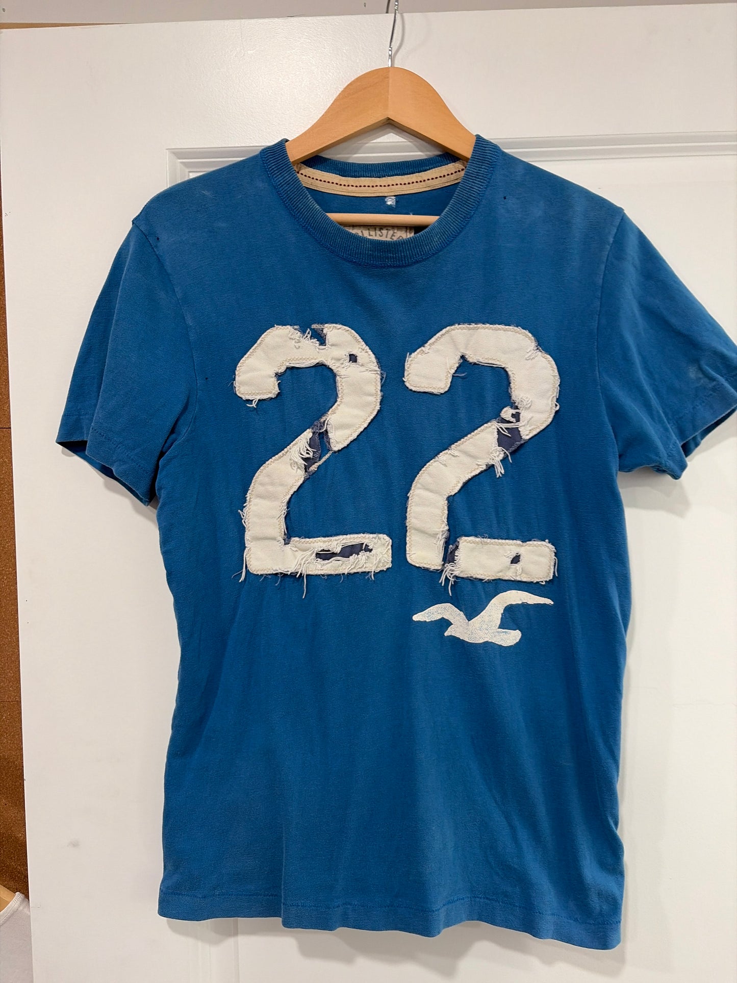 Hollister 22