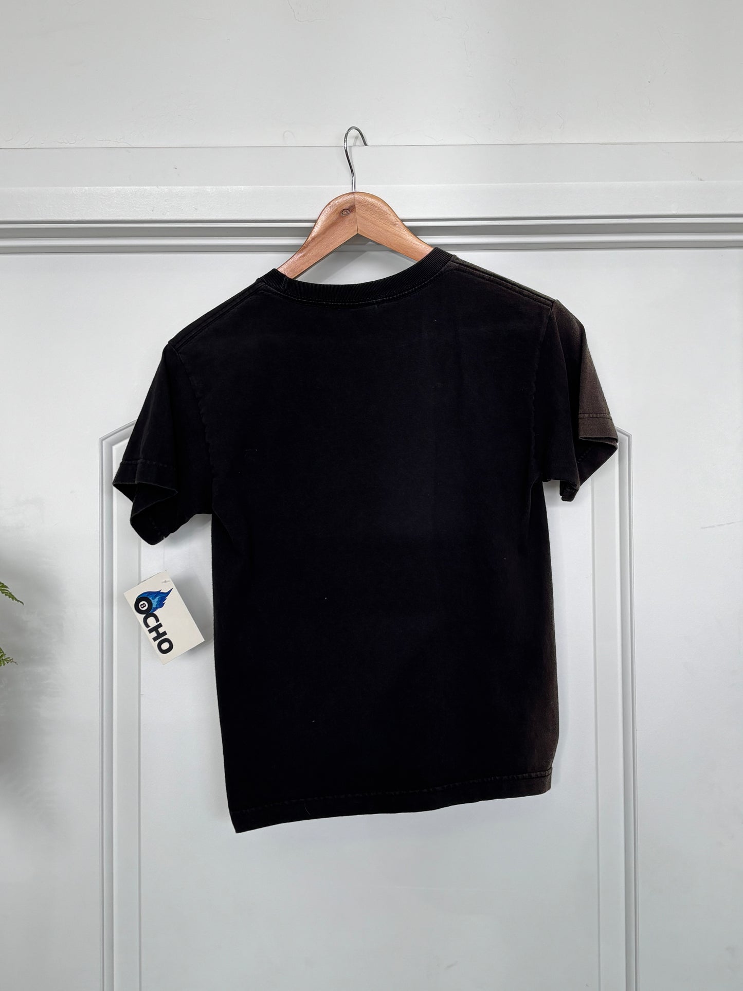 FS&S 005