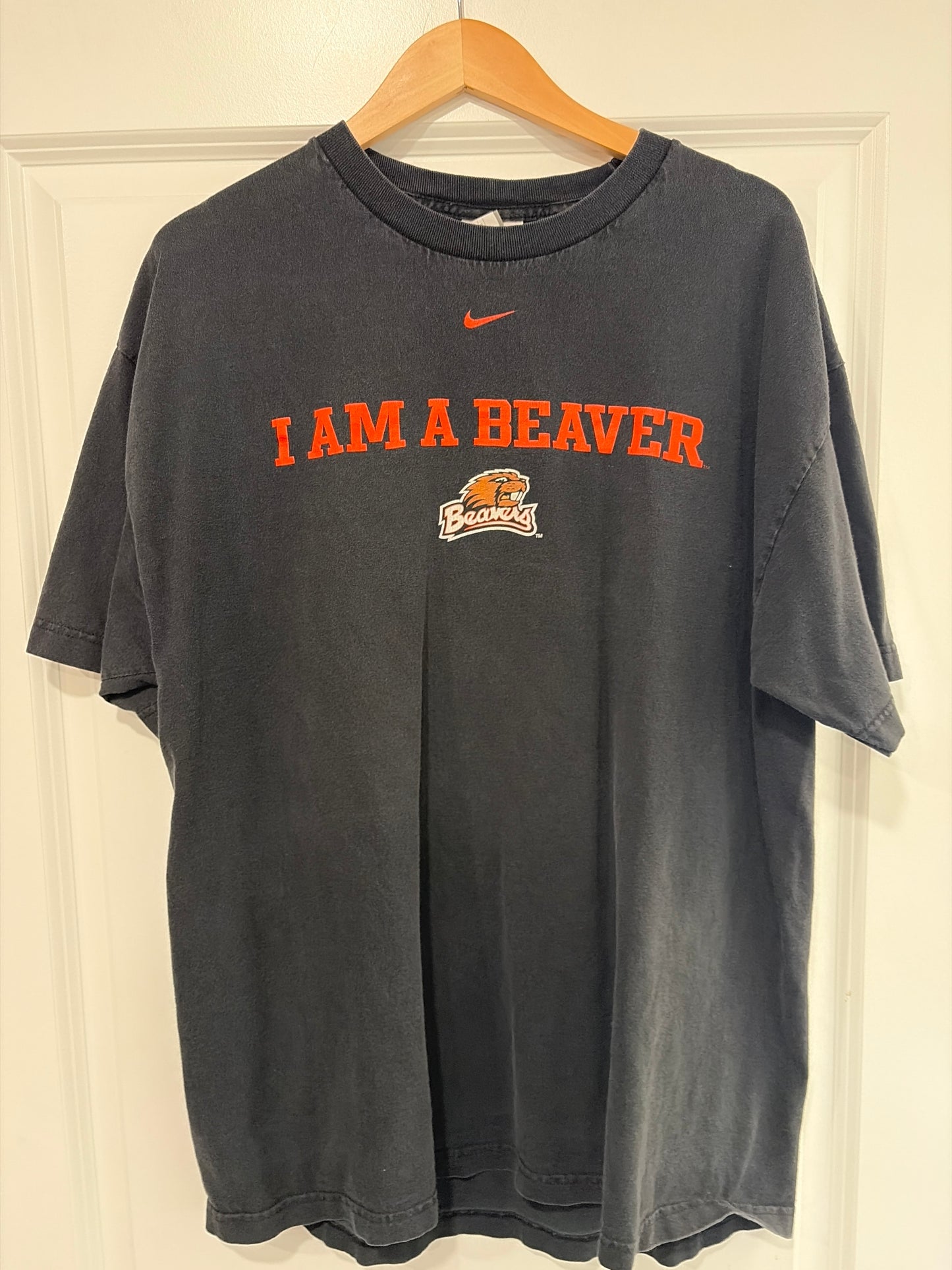 Beavers