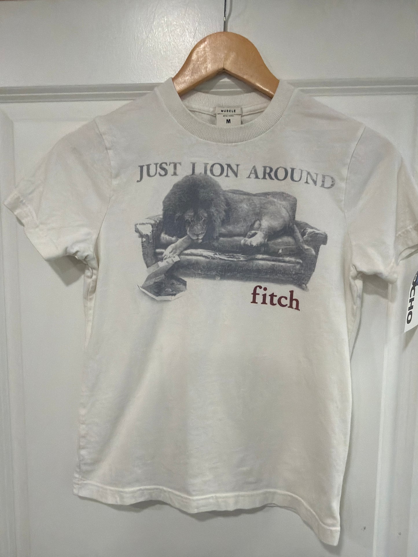 Lion around