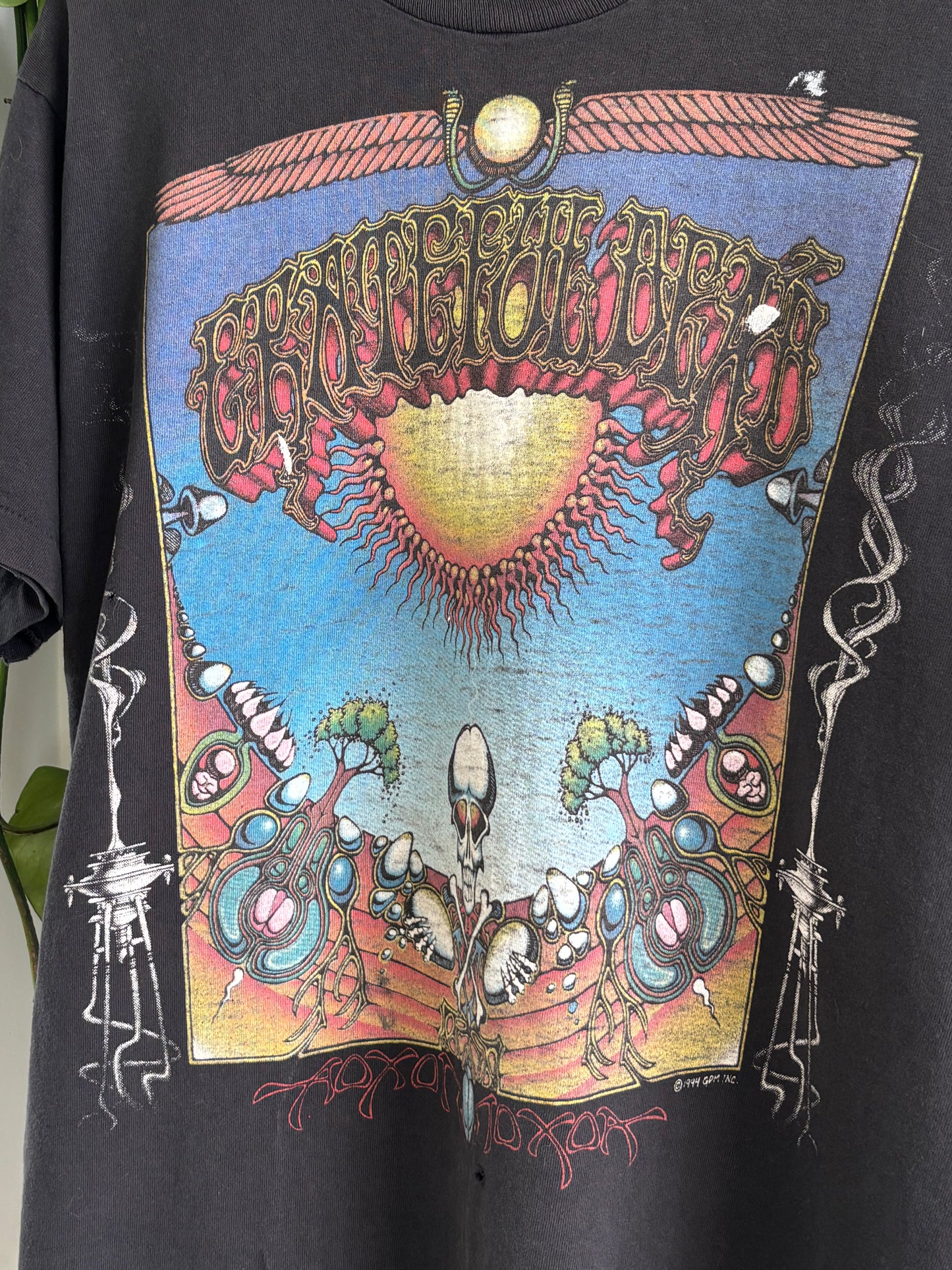 Grateful Dead T-Shirt
