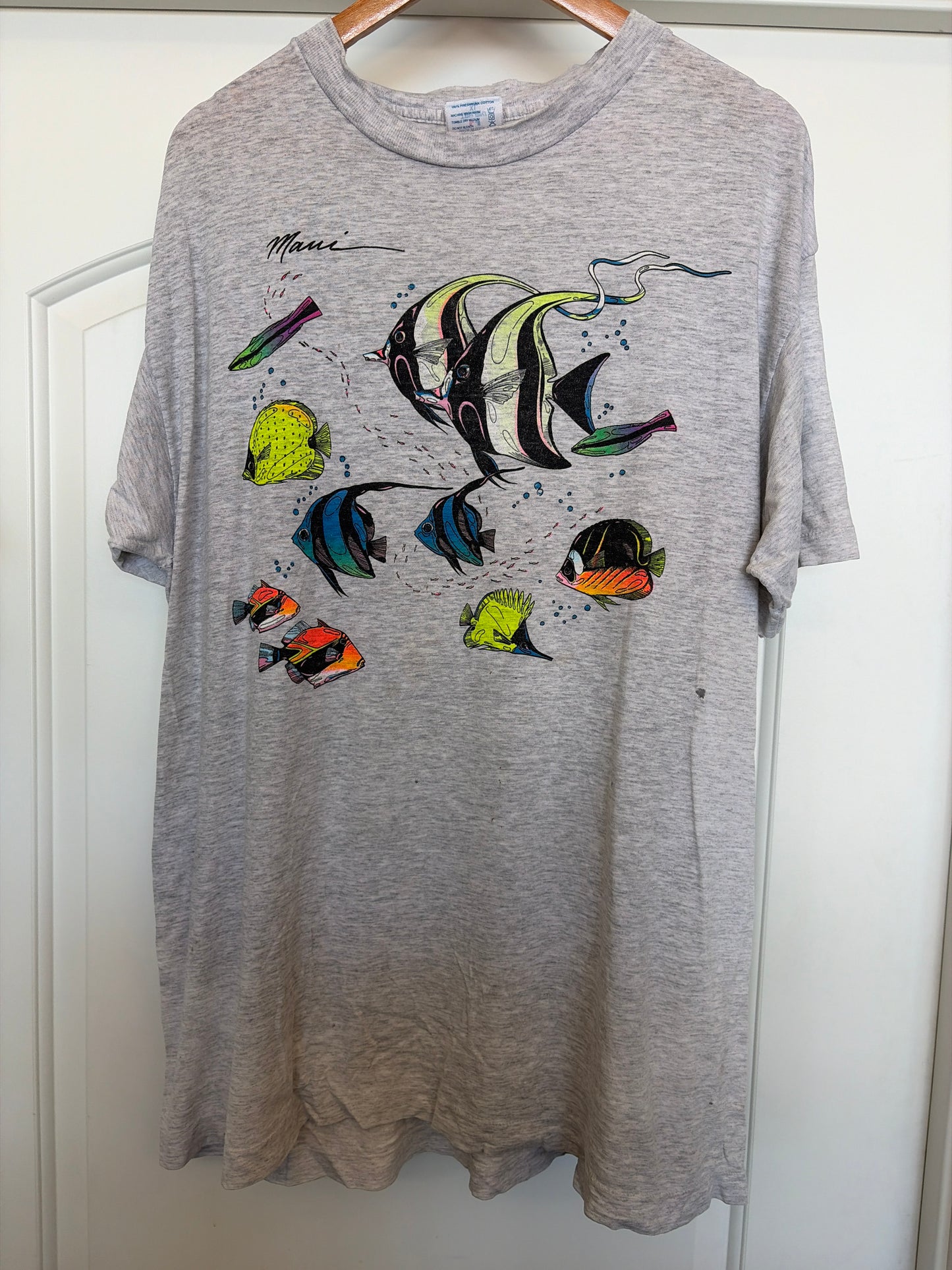 Maui fishes